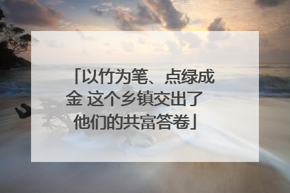以竹为笔、点绿成金 这个乡镇交出了他们的共富答卷