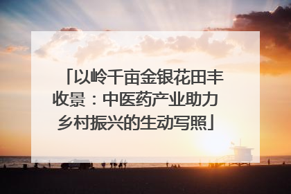 以岭千亩金银花田丰收景：中医药产业助力乡村振兴的生动写照