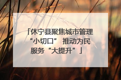 休宁县聚焦城市管理“小切口” 推动为民服务“大提升”