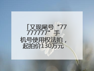 又现尾号“77777777”手机号使用权法拍，起拍价130万元，已有人报名