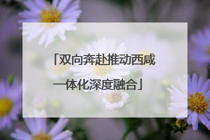 双向奔赴推动西咸一体化深度融合