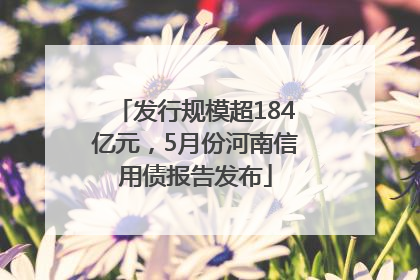 发行规模超184亿元，5月份河南信用债报告发布