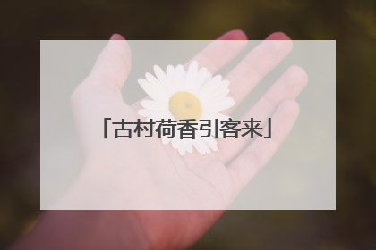 古村荷香引客来