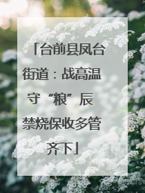 台前县凤台街道：战高温守“粮”辰 禁烧保收多管齐下