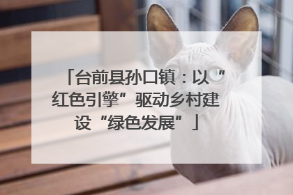 台前县孙口镇：以“红色引擎”驱动乡村建设“绿色发展”