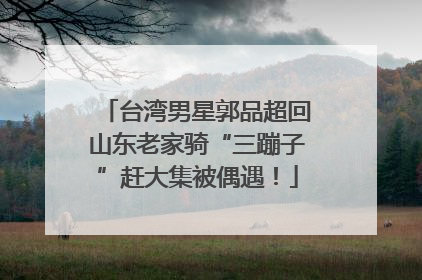台湾男星郭品超回山东老家骑“三蹦子”赶大集被偶遇！