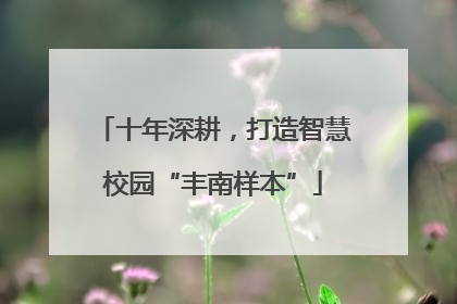 十年深耕，打造智慧校园“丰南样本”