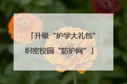升级“护学大礼包”织密校园“防护网”