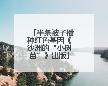 半条被子播种红色基因《沙洲的“小树苗”》出版