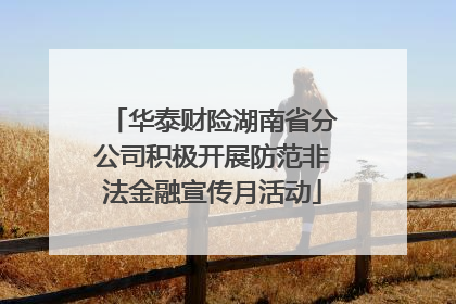 华泰财险湖南省分公司积极开展防范非法金融宣传月活动