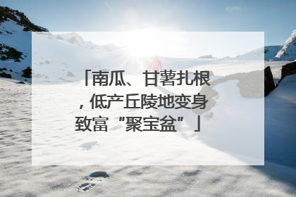 南瓜、甘薯扎根，低产丘陵地变身致富“聚宝盆”