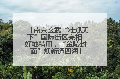 南京玄武“壮观天下”国际街区亮相 好地精用，“金陵封面”焕新通四海