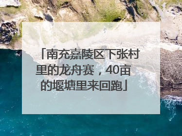 南充嘉陵区下张村里的龙舟赛，40亩的堰塘里来回跑
