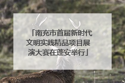 南充市首届新时代文明实践精品项目展演大赛在蓬安举行
