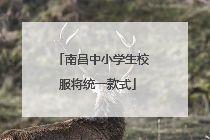南昌中小学生校服将统一款式