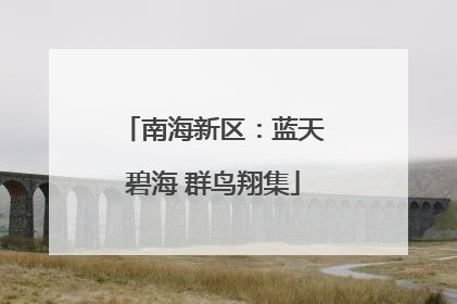 南海新区：蓝天碧海 群鸟翔集