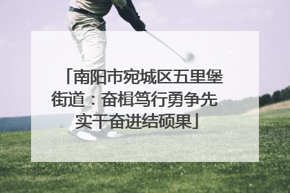 南阳市宛城区五里堡街道：奋楫笃行勇争先 实干奋进结硕果