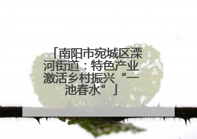 南阳市宛城区溧河街道：特色产业激活乡村振兴“一池春水”