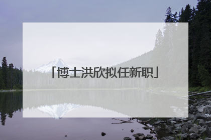 博士洪欣拟任新职