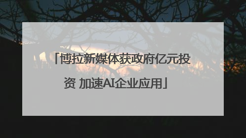 博拉新媒体获政府亿元投资 加速AI企业应用