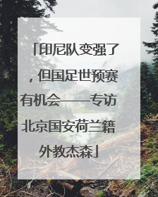 印尼队变强了，但国足世预赛有机会——专访北京国安荷兰籍外教杰森