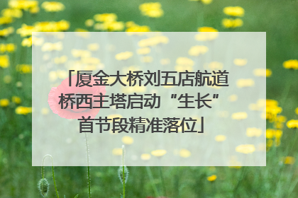厦金大桥刘五店航道桥西主塔启动“生长” 首节段精准落位
