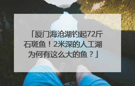 厦门海沧湖钓起72斤石斑鱼！2米深的人工湖为何有这么大的鱼？