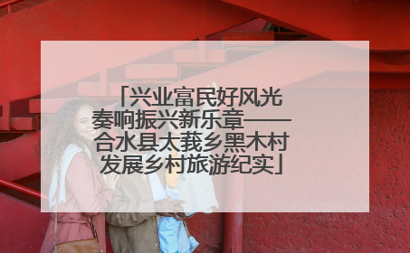 兴业富民好风光 奏响振兴新乐章——合水县太莪乡黑木村发展乡村旅游纪实
