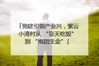 党建引领产业兴，紫云小湾村从 “靠天吃饭” 到 “抱团生金”