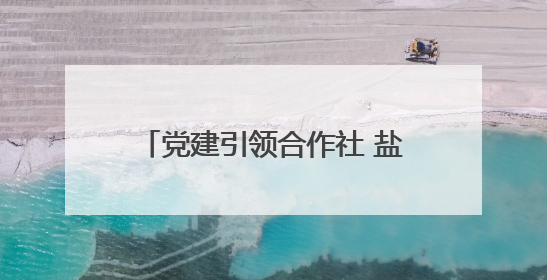 党建引领合作社 盐碱地变身“聚宝盆”——河涯村十年蝶变实现产业兴村群众富