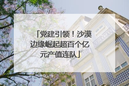 党建引领！沙漠边缘崛起超百个亿元产值连队