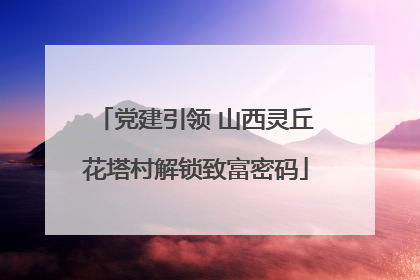 党建引领 山西灵丘花塔村解锁致富密码