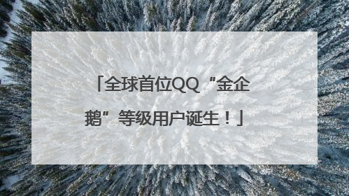 全球首位QQ“金企鹅”等级用户诞生！