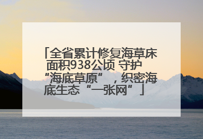全省累计修复海草床面积938公顷 守护“海底草原”，织密海底生态“一张网”