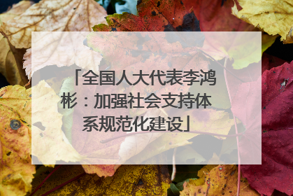 全国人大代表李鸿彬：加强社会支持体系规范化建设
