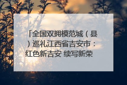 全国双拥模范城（县）巡礼江西省吉安市：红色新吉安 续写新荣光 奋力谱写新时代双拥工作新篇章