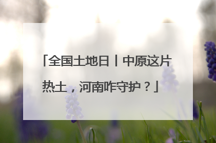 全国土地日丨中原这片热土，河南咋守护？