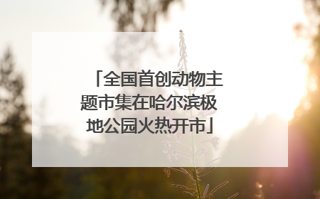 全国首创动物主题市集在哈尔滨极地公园火热开市