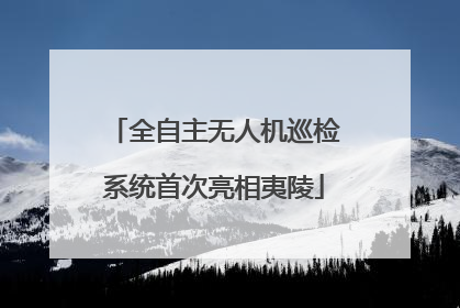 全自主无人机巡检系统首次亮相夷陵