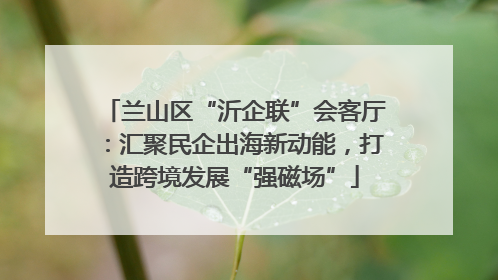 兰山区“沂企联”会客厅：汇聚民企出海新动能，打造跨境发展“强磁场”