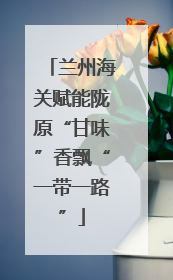 兰州海关赋能陇原“甘味”香飘“一带一路”