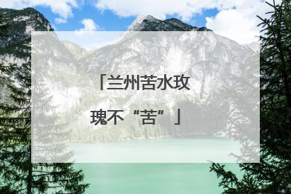 兰州苦水玫瑰不“苦”