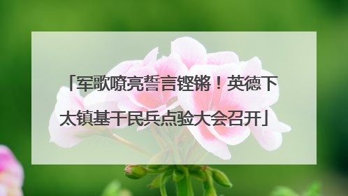 军歌嘹亮誓言铿锵！英德下太镇基干民兵点验大会召开