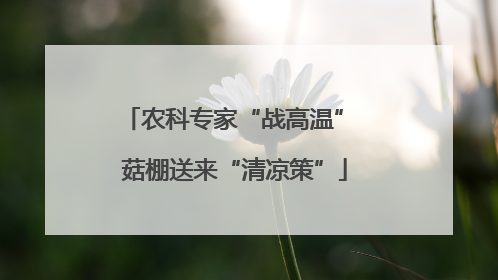 农科专家“战高温” 菇棚送来“清凉策”