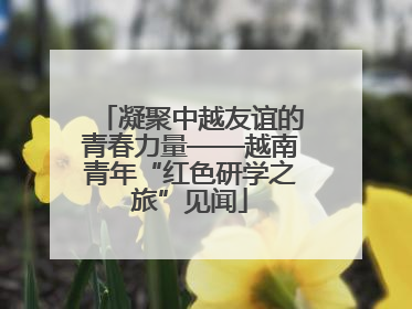 凝聚中越友谊的青春力量——越南青年“红色研学之旅”见闻