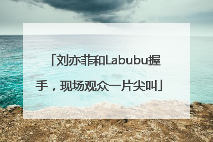 刘亦菲和Labubu握手，现场观众一片尖叫