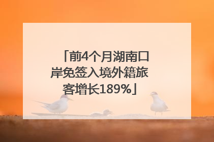 前4个月湖南口岸免签入境外籍旅客增长189%