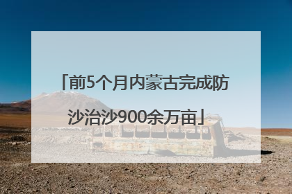 前5个月内蒙古完成防沙治沙900余万亩