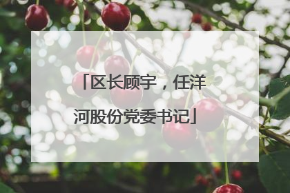 区长顾宇，任洋河股份党委书记