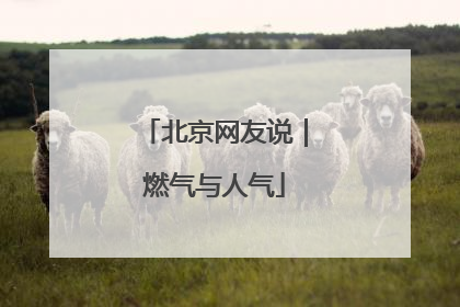 北京网友说｜燃气与人气